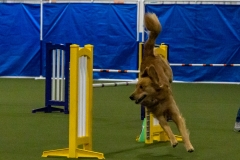 2022-Mid-May-Trial-308