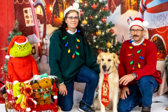 2022-Xmas-11-12-1704