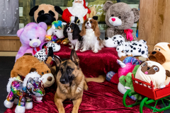 2022-Xmas-11-12-1739