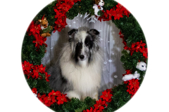 2022-Xmas-11-12-1798