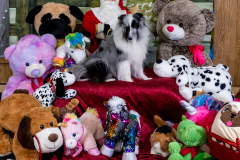 2022-Xmas-11-12-1801