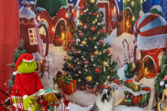 2022-Xmas-11-12-1820