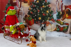 2022-Xmas-11-12-1823