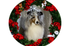 2022-Xmas-11-12-1827