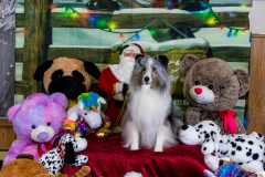 2022-Xmas-11-12-1836