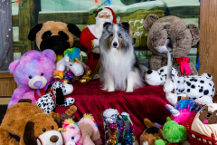 2022-Xmas-11-12-1837