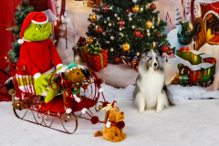 2022-Xmas-11-12-1850