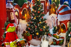 2022-Xmas-11-12-1852