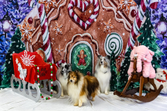 2022-Xmas-11-12-1893