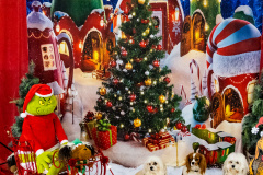 2022-Xmas-11-12-1923