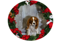 2022-Xmas-11-12-1932