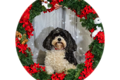 2022-Xmas-11-12-1956