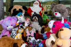 2022-Xmas-11-12-1967