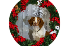 2022-Xmas-11-12-1971