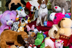 2022-Xmas-11-12-1975