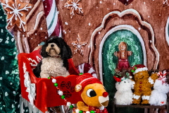 2022-Xmas-11-12-1984