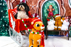 2022-Xmas-11-12-1986