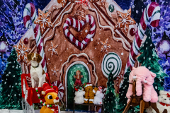 2022-Xmas-11-12-1993