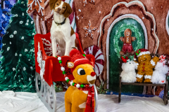 2022-Xmas-11-12-1997