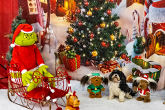 2022-Xmas-11-12-2006