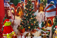 2022-Xmas-11-12-2012