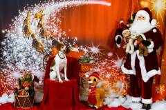 2022-Xmas-11-12-2036