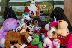 2022-Xmas-11-12-2050