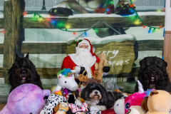 2022-Xmas-11-12-2058