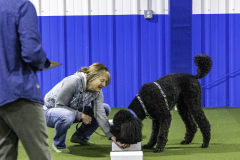 2022-Fall-ScentWork-Trial-100