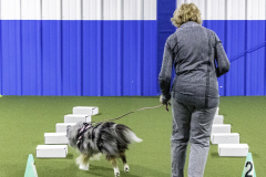2022-Fall-ScentWork-Trial-101