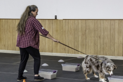 2022-Fall-ScentWork-Trial-1019