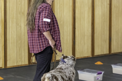 2022-Fall-ScentWork-Trial-1024