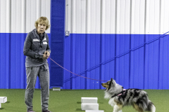 2022-Fall-ScentWork-Trial-103