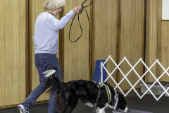 2022-Fall-ScentWork-Trial-1035