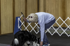 2022-Fall-ScentWork-Trial-1037