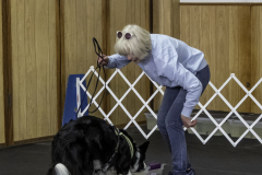 2022-Fall-ScentWork-Trial-1038
