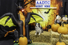 2022-Fall-ScentWork-Trial-1050