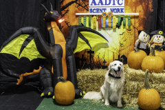 2022-Fall-ScentWork-Trial-1070