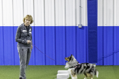 2022-Fall-ScentWork-Trial-108