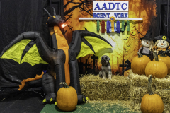 2022-Fall-ScentWork-Trial-1083