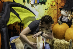 2022-Fall-ScentWork-Trial-1115