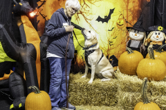 2022-Fall-ScentWork-Trial-1167