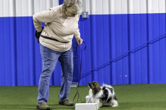 2022-Fall-ScentWork-Trial-121