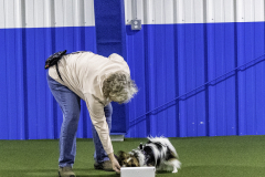 2022-Fall-ScentWork-Trial-122