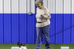 2022-Fall-ScentWork-Trial-125