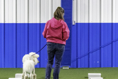 2022-Fall-ScentWork-Trial-129