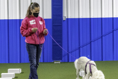 2022-Fall-ScentWork-Trial-131
