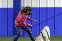 2022-Fall-ScentWork-Trial-132