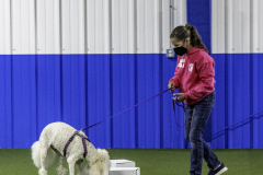 2022-Fall-ScentWork-Trial-136