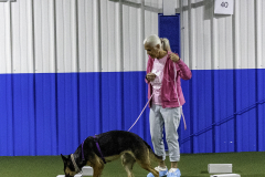 2022-Fall-ScentWork-Trial-140